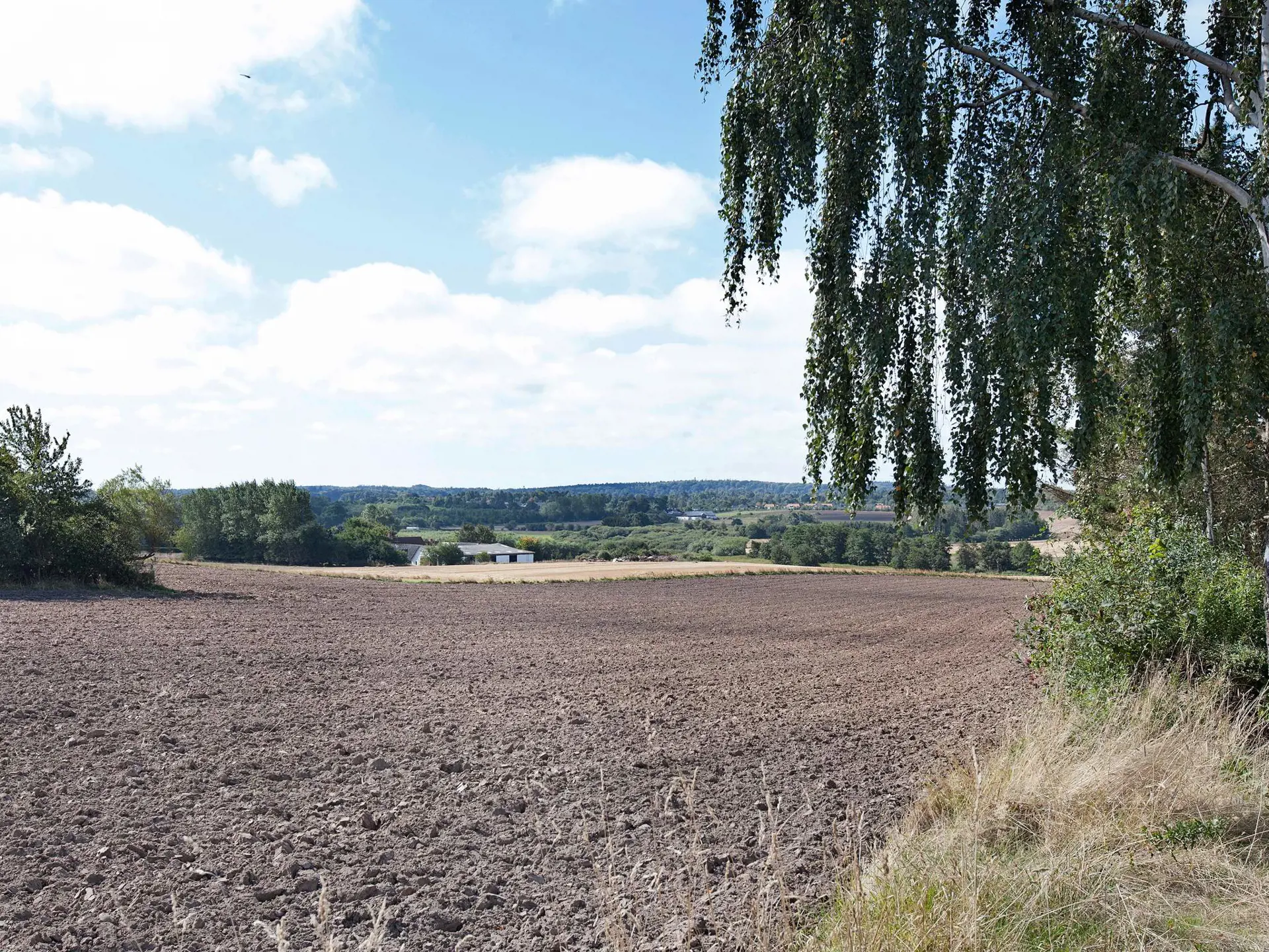 Bild 8 von 21
