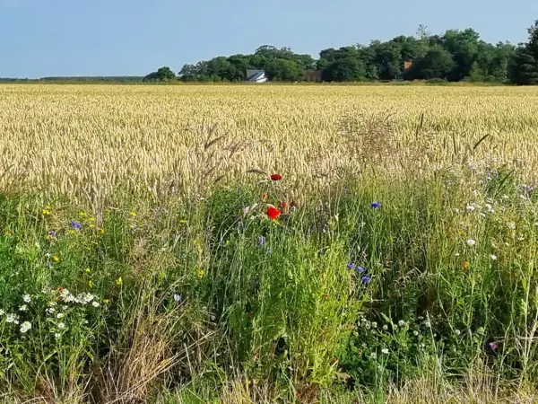 Bild 38 von 40