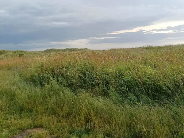 Bild 39 von 40