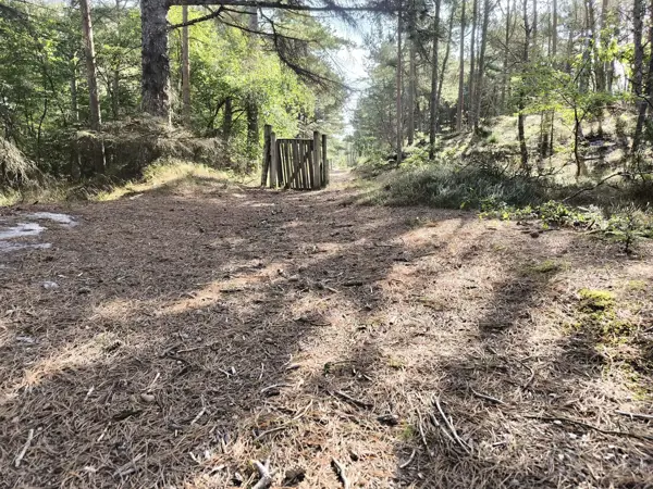 Bild 41 von 41