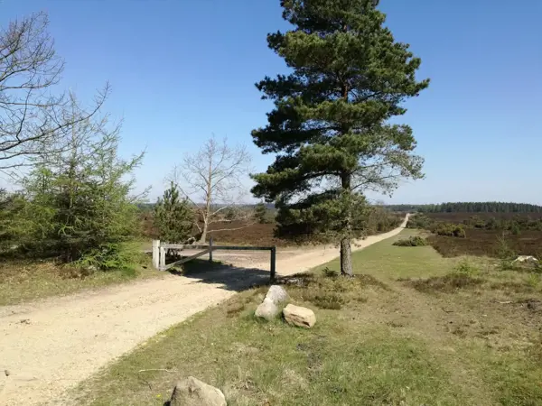 Bild 48 von 50