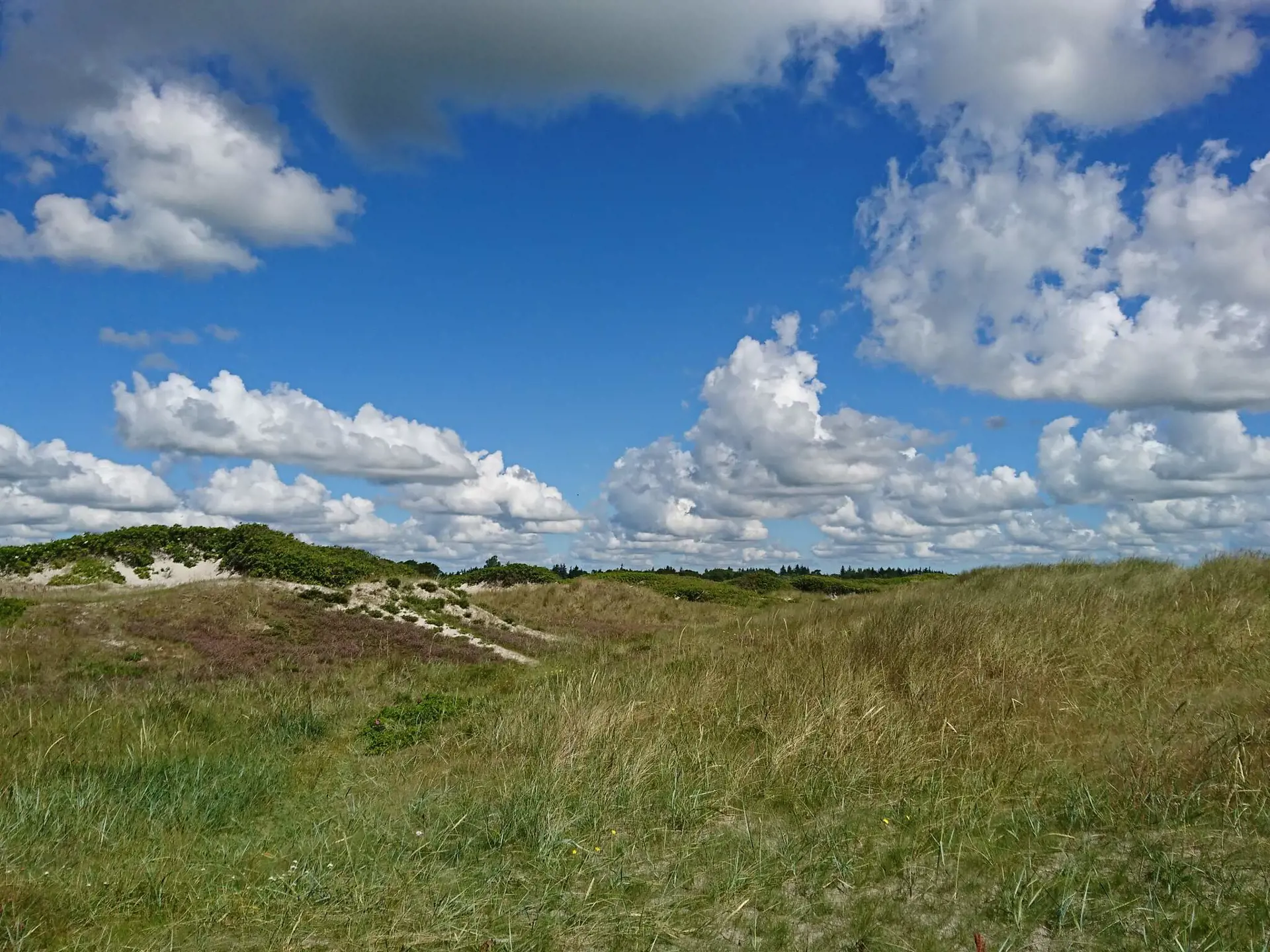 Bild 34 von 36