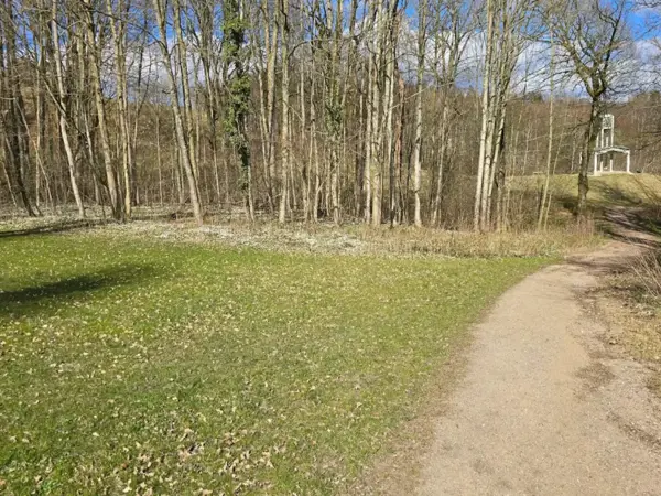 Bild 36 von 38