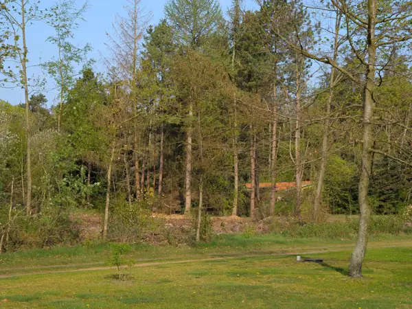 Bild 5 von 27