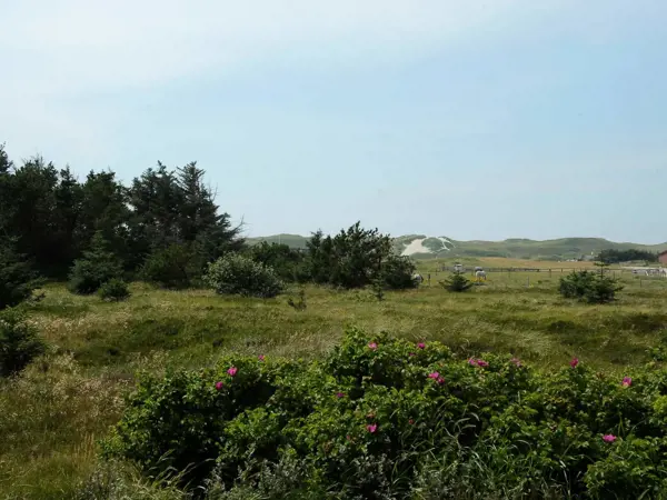 Bild 4 von 23