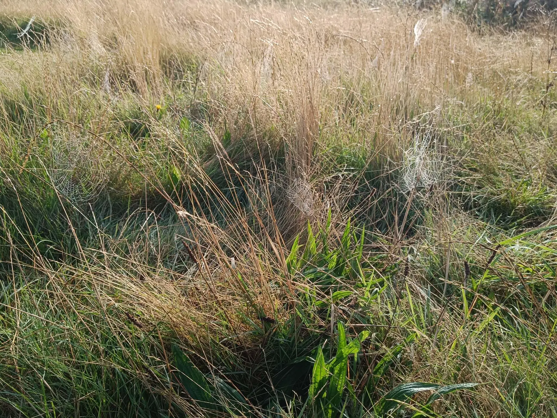Bild 30 von 31
