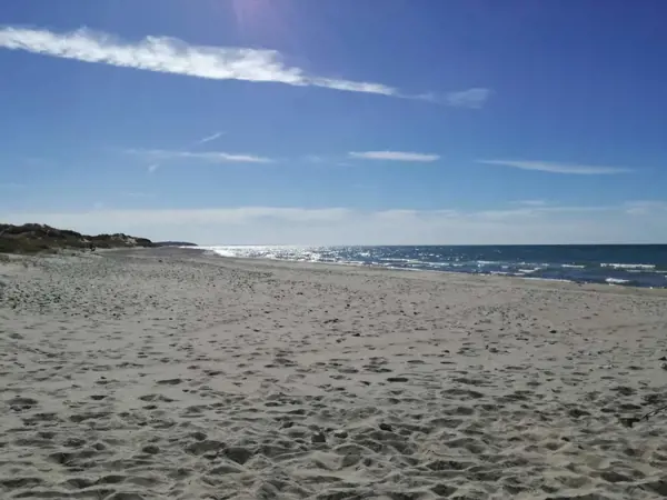 Bild 34 von 61