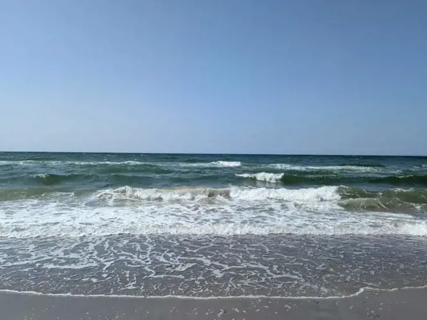 Bild 37 von 61
