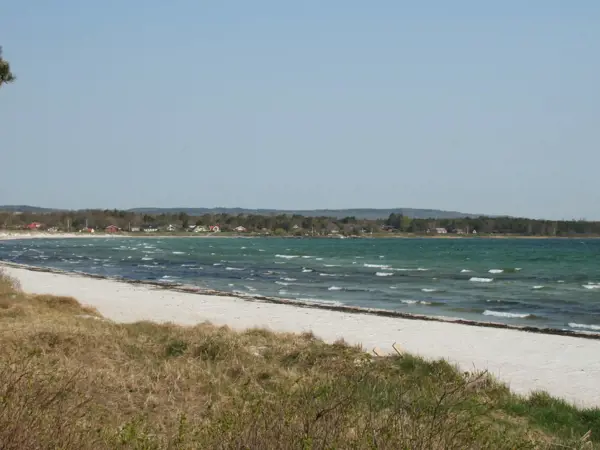 Bild 6 von 21