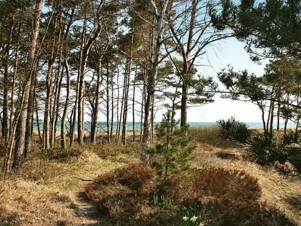 Bild 9 von 21