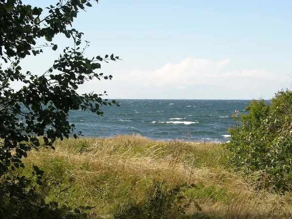 Bild 5 von 21