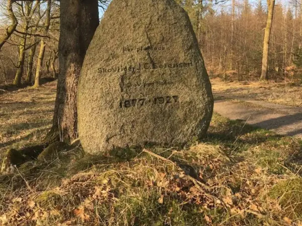 Bild 19 von 31