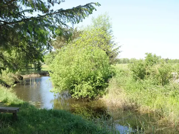 Bild 3 von 18