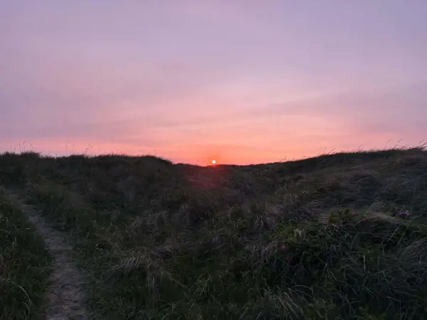 Bild 42 von 43