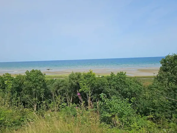Bild 19 von 37