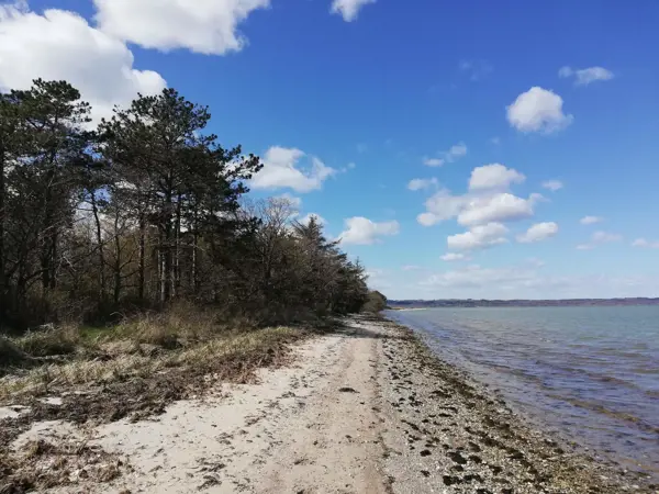 Bild 19 von 40