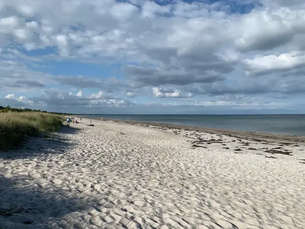 Bild 21 von 44