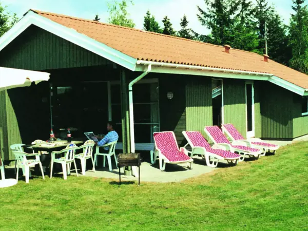 Ferienhaus 41530 in Marielyst / Falster