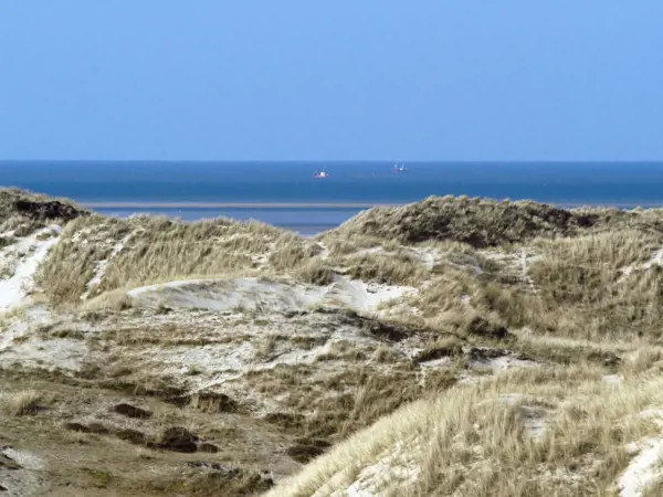 Bild 18 von 22
