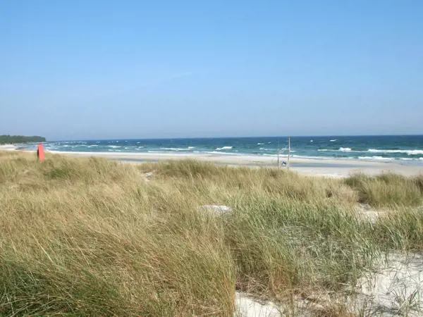 Bild 2 von 14