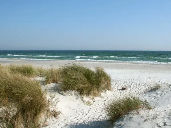 Bild 4 von 14