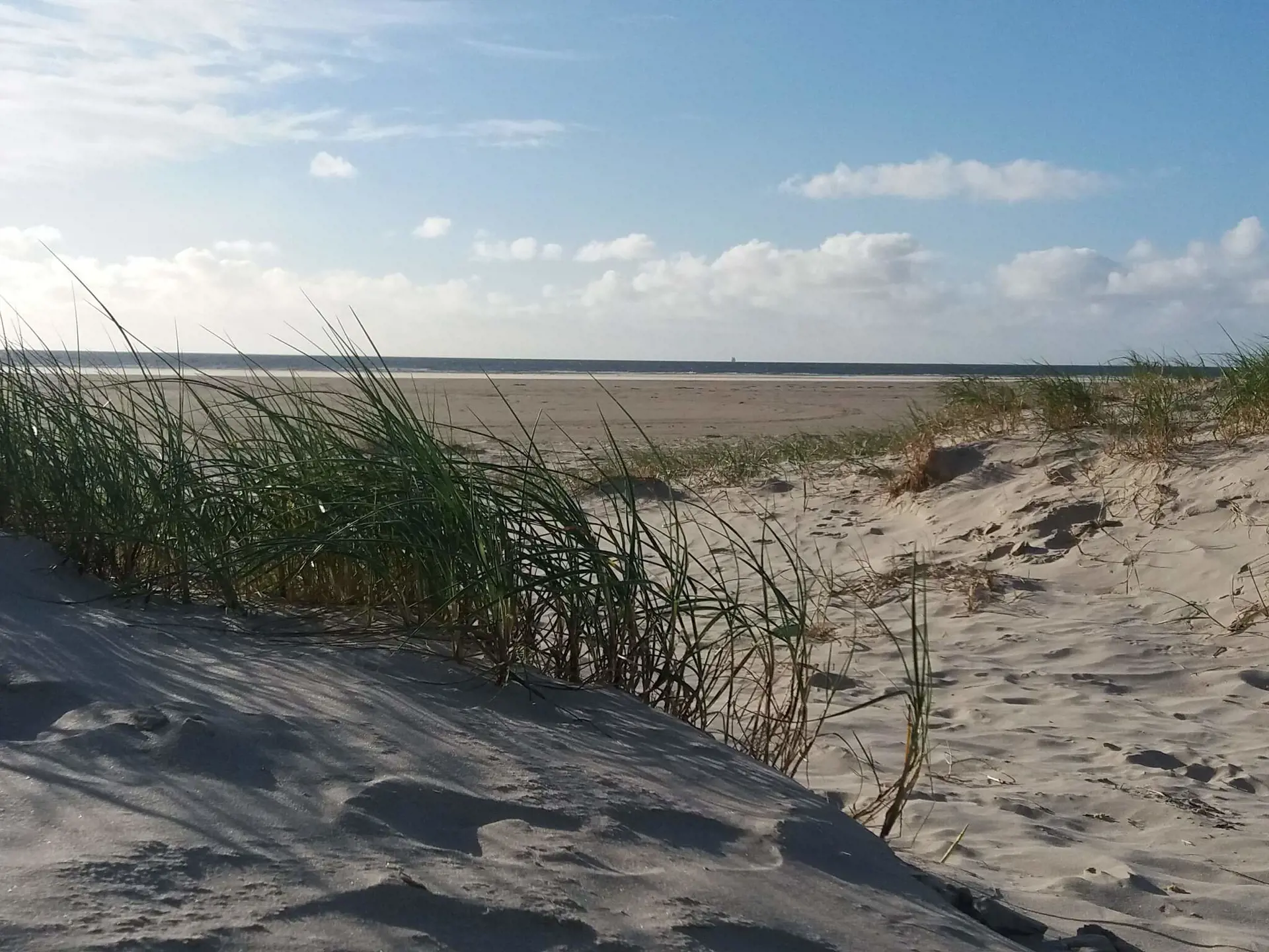 Bild 26 von 36