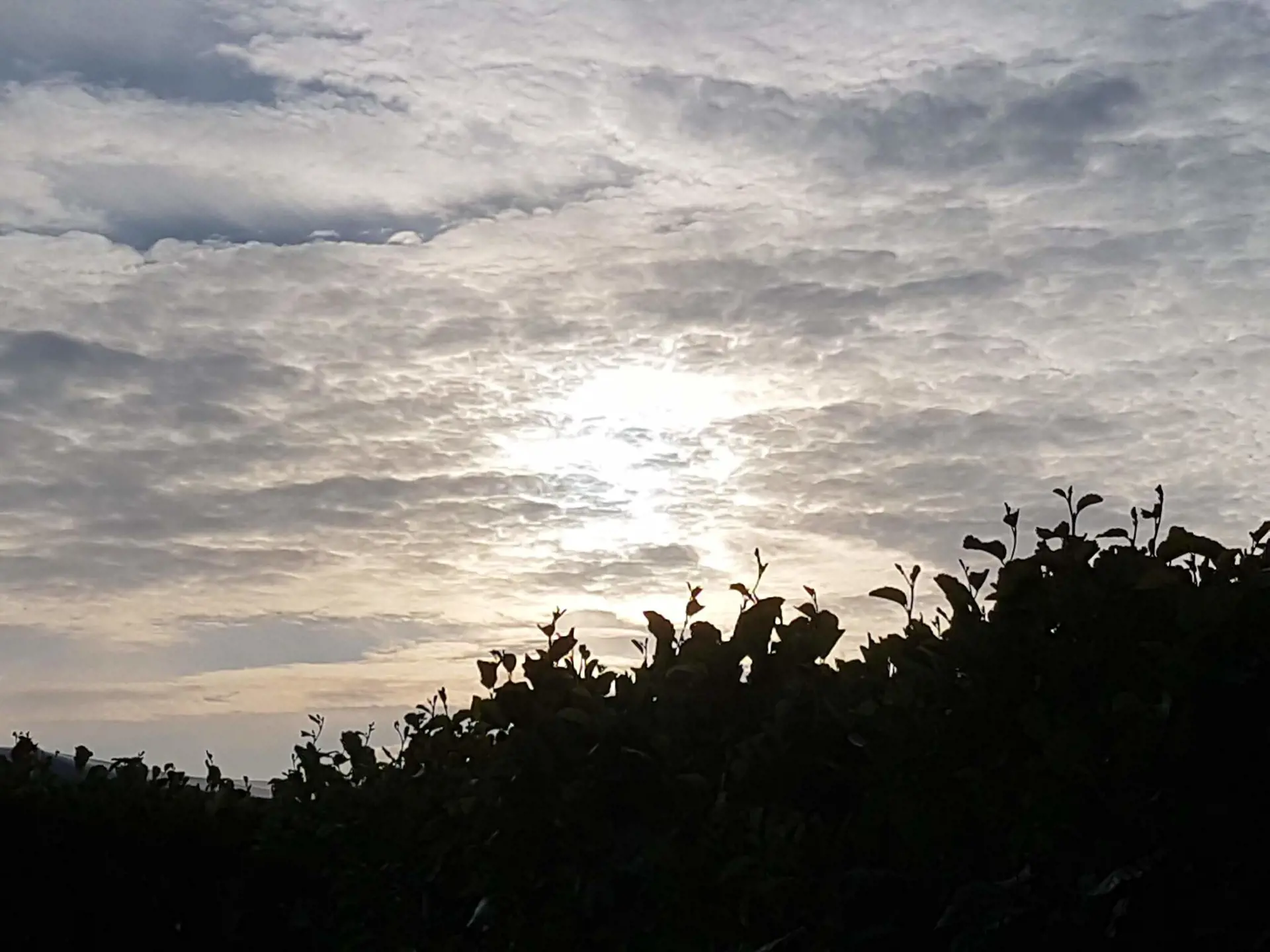 Bild 30 von 36