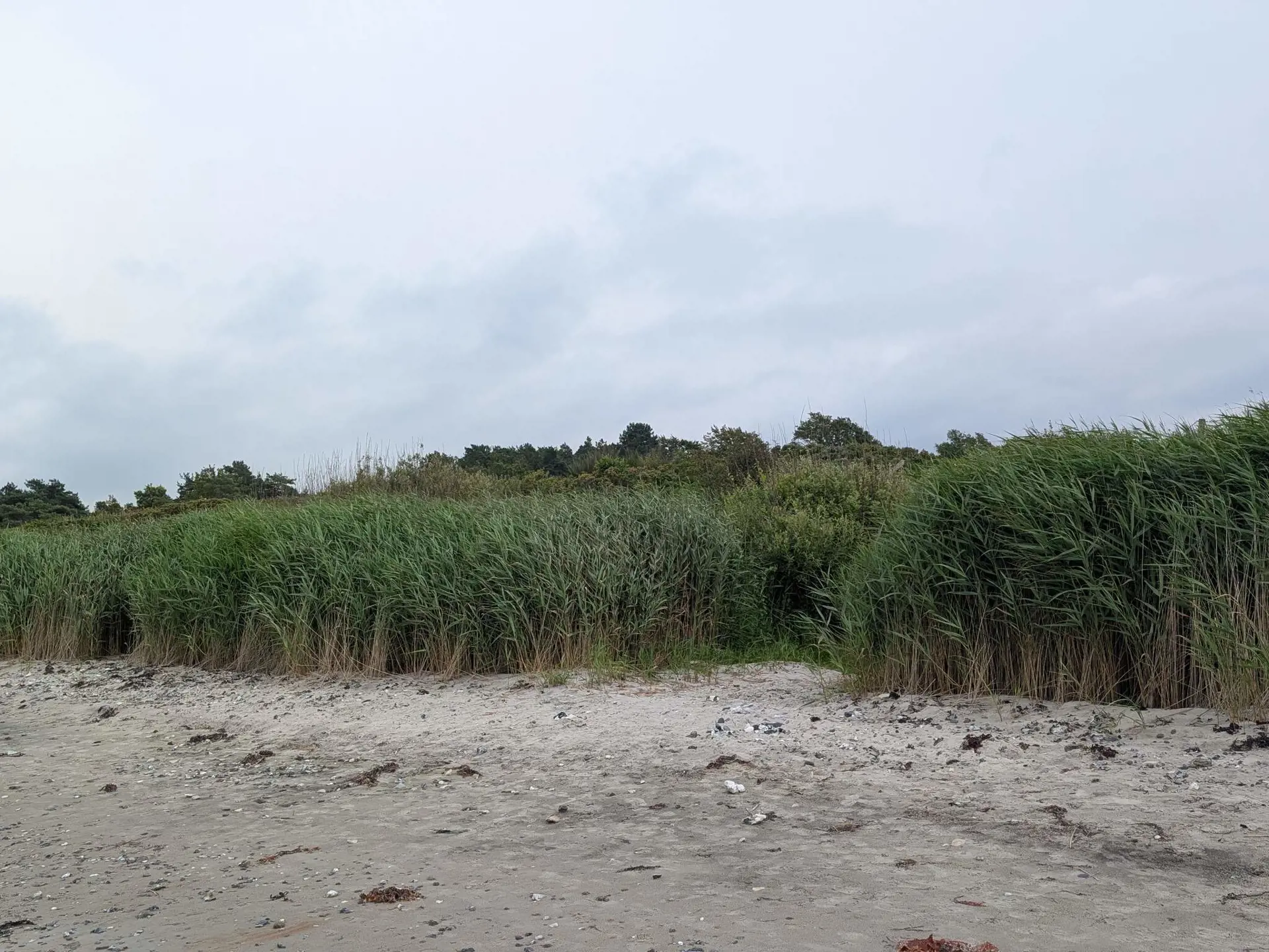 Bild 37 von 37