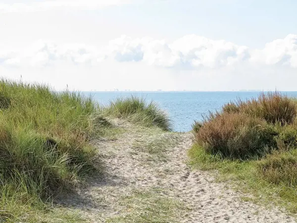 Bild 14 von 15