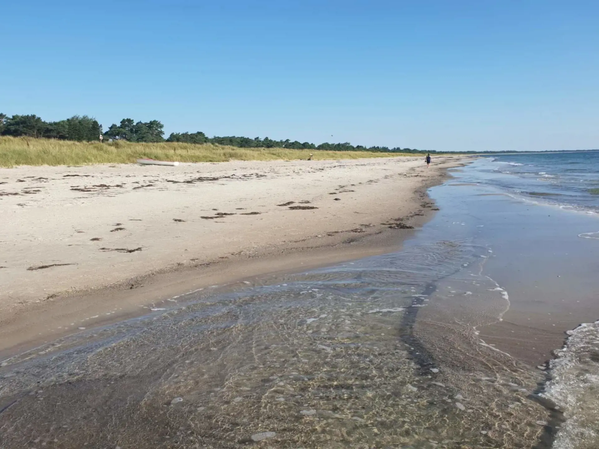 Bild 31 von 55