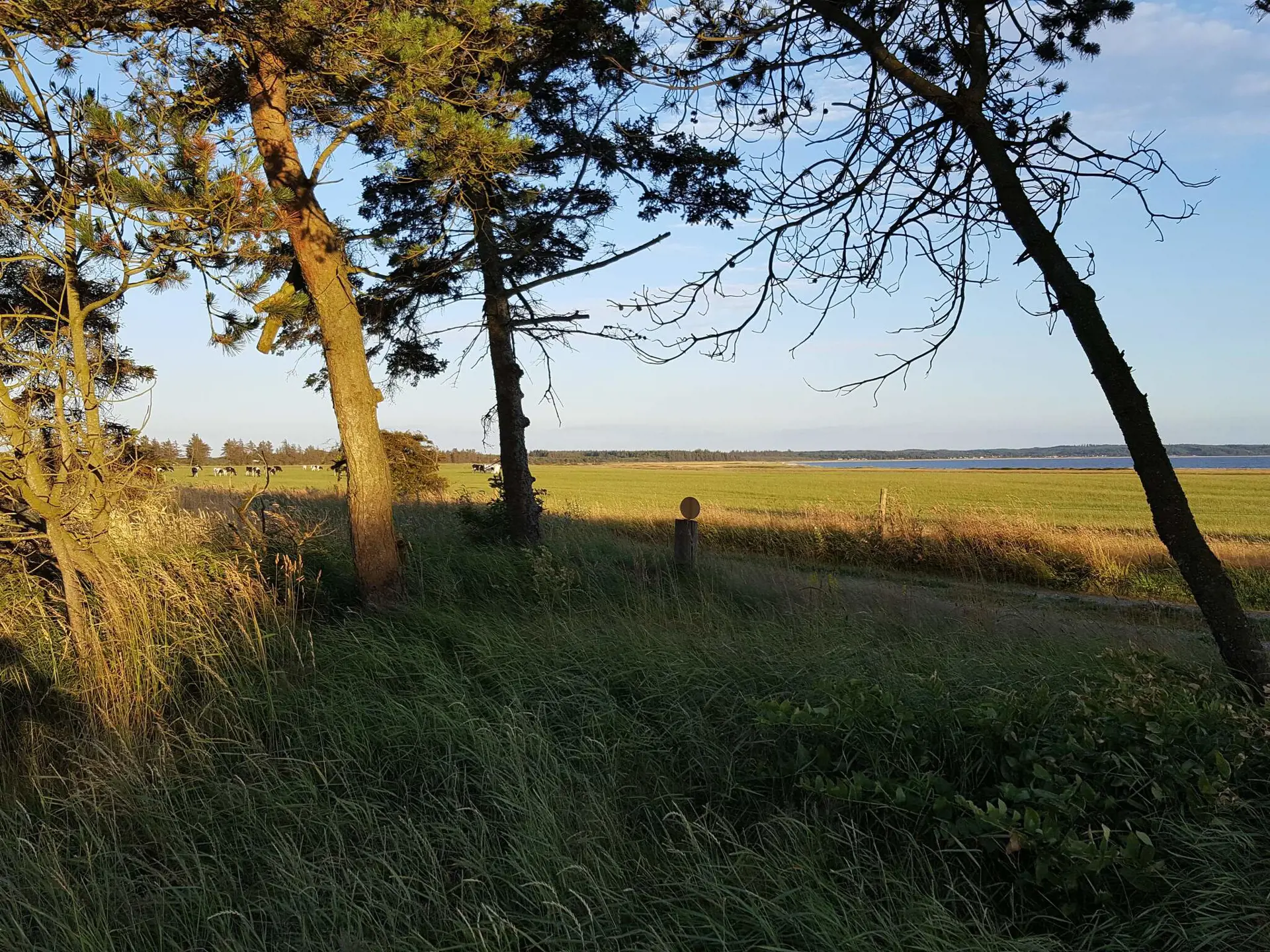 Bild 35 von 37