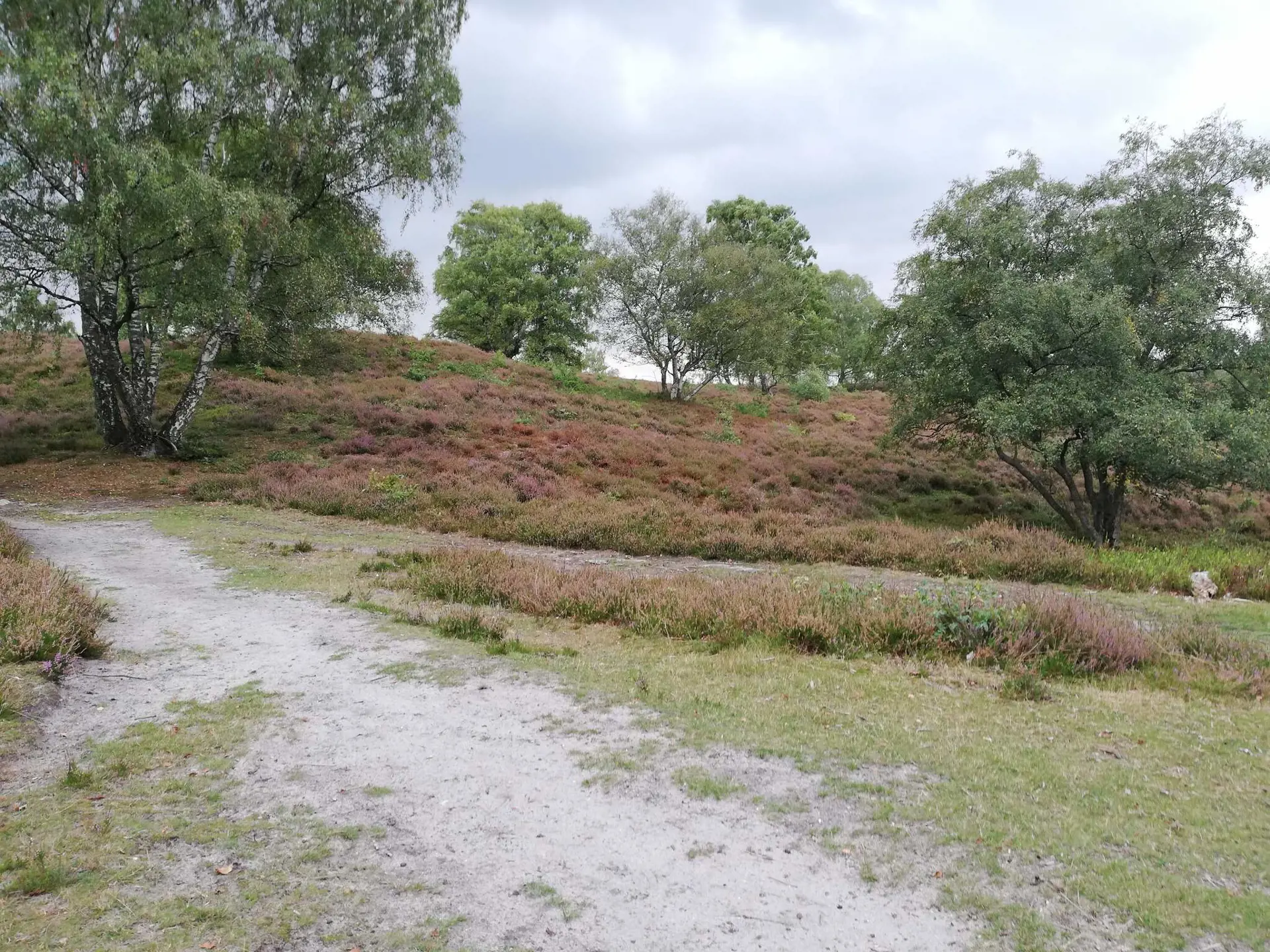 Bild 23 von 40