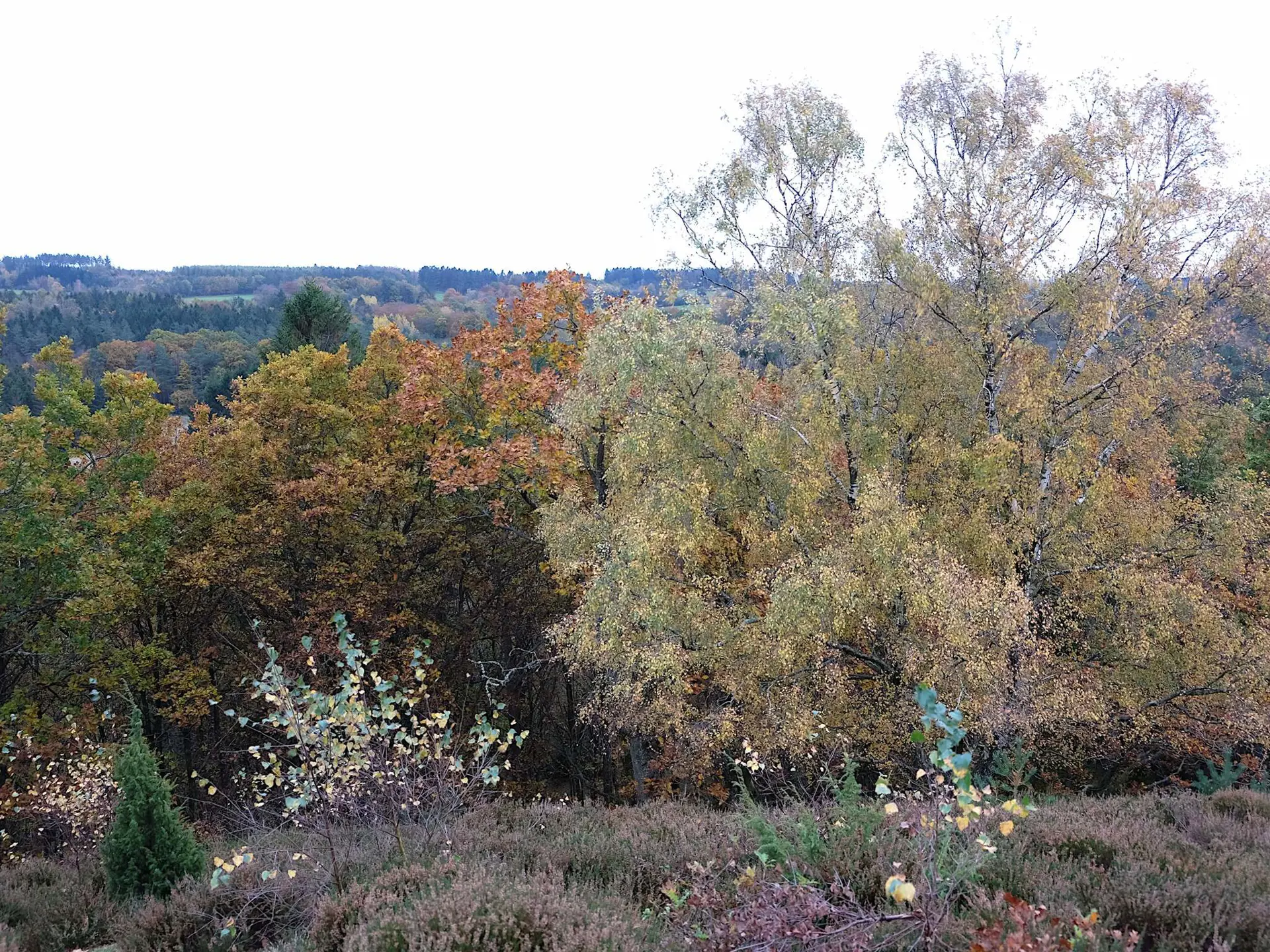 Bild 35 von 40