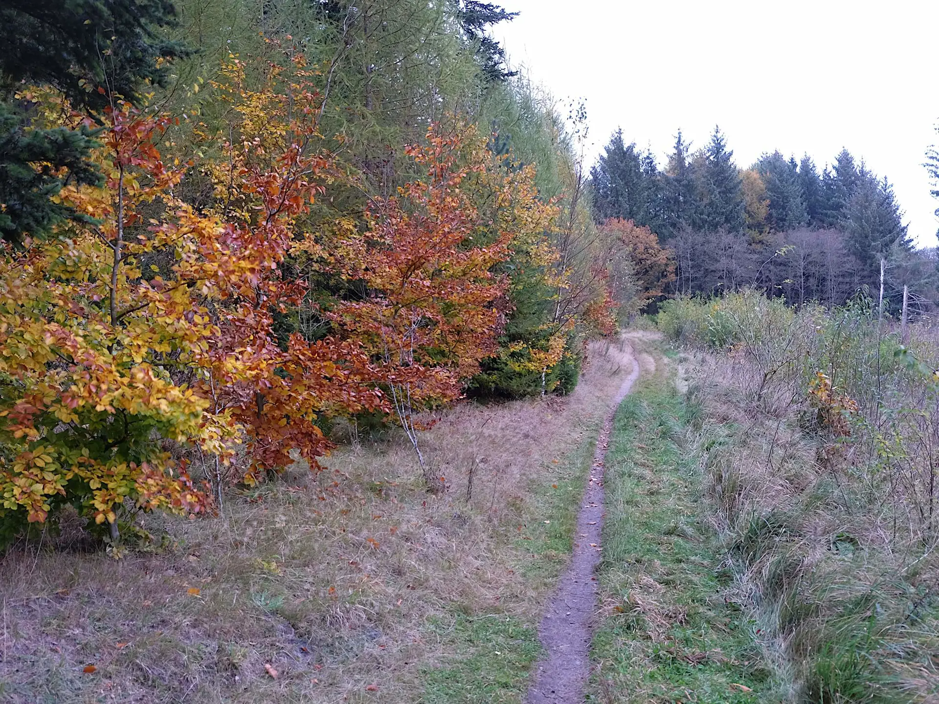 Bild 38 von 40