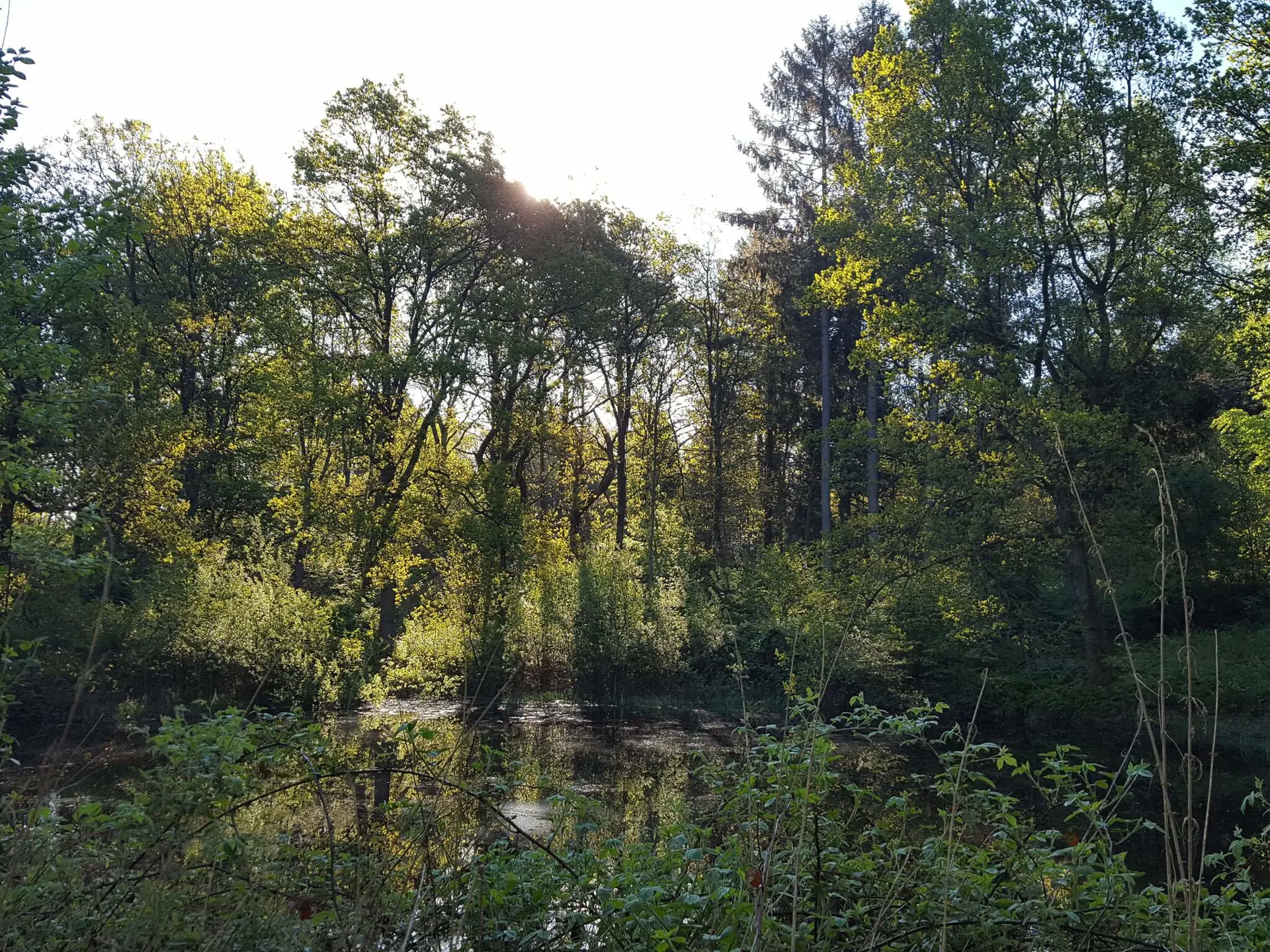 Bild 30 von 35