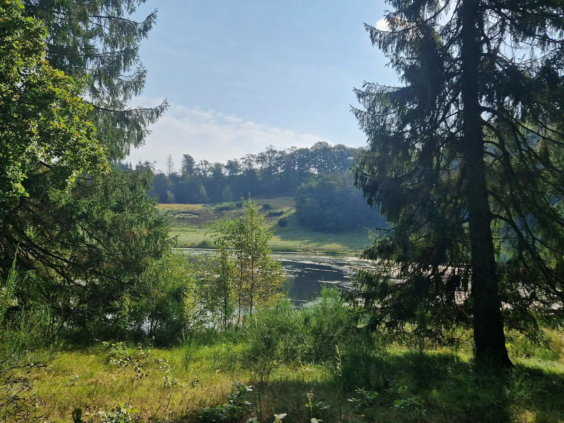 Bild 35 von 35