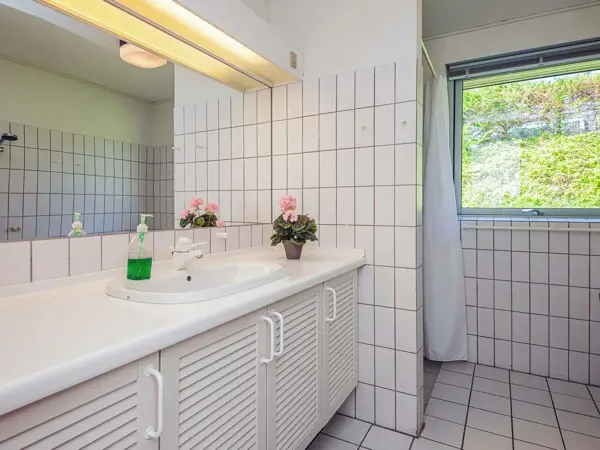 Bild 36 von 50