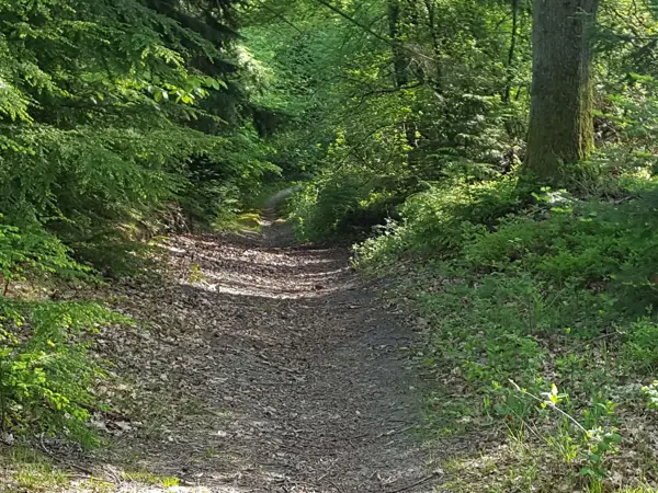 Bild 43 von 50