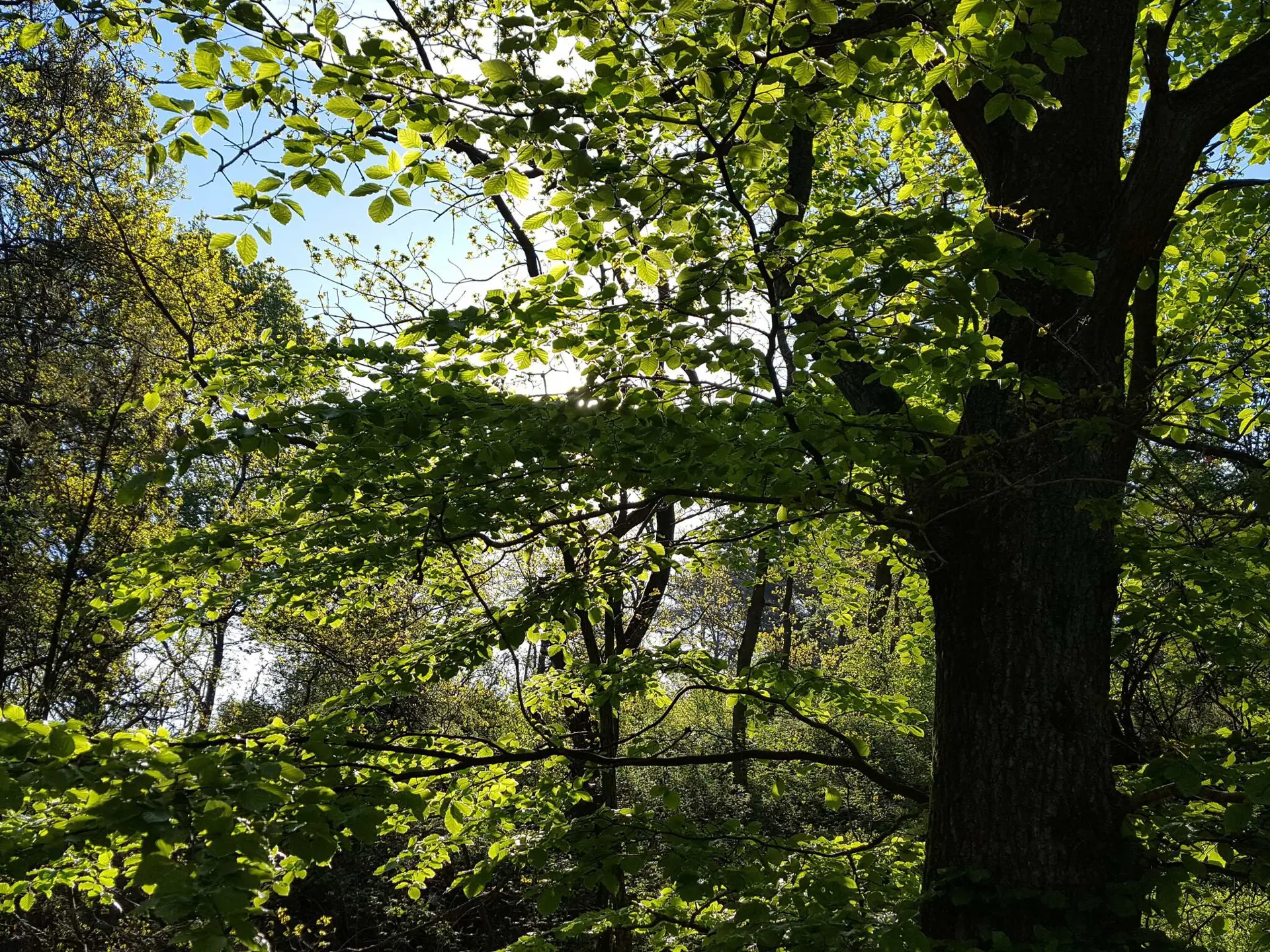 Bild 45 von 50