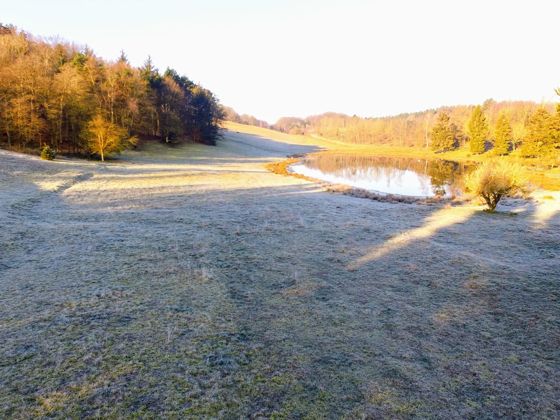 Bild 47 von 50