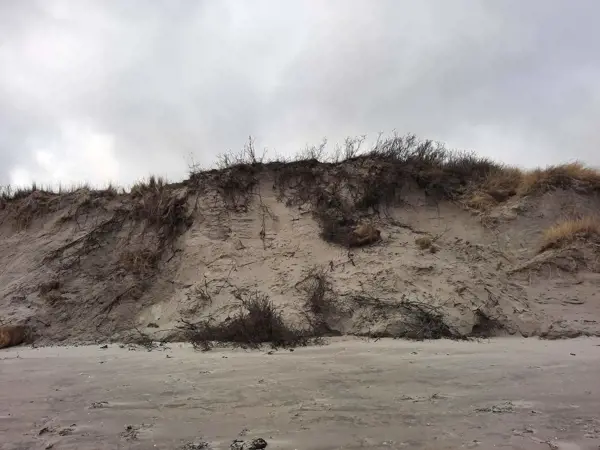 Bild 35 von 36