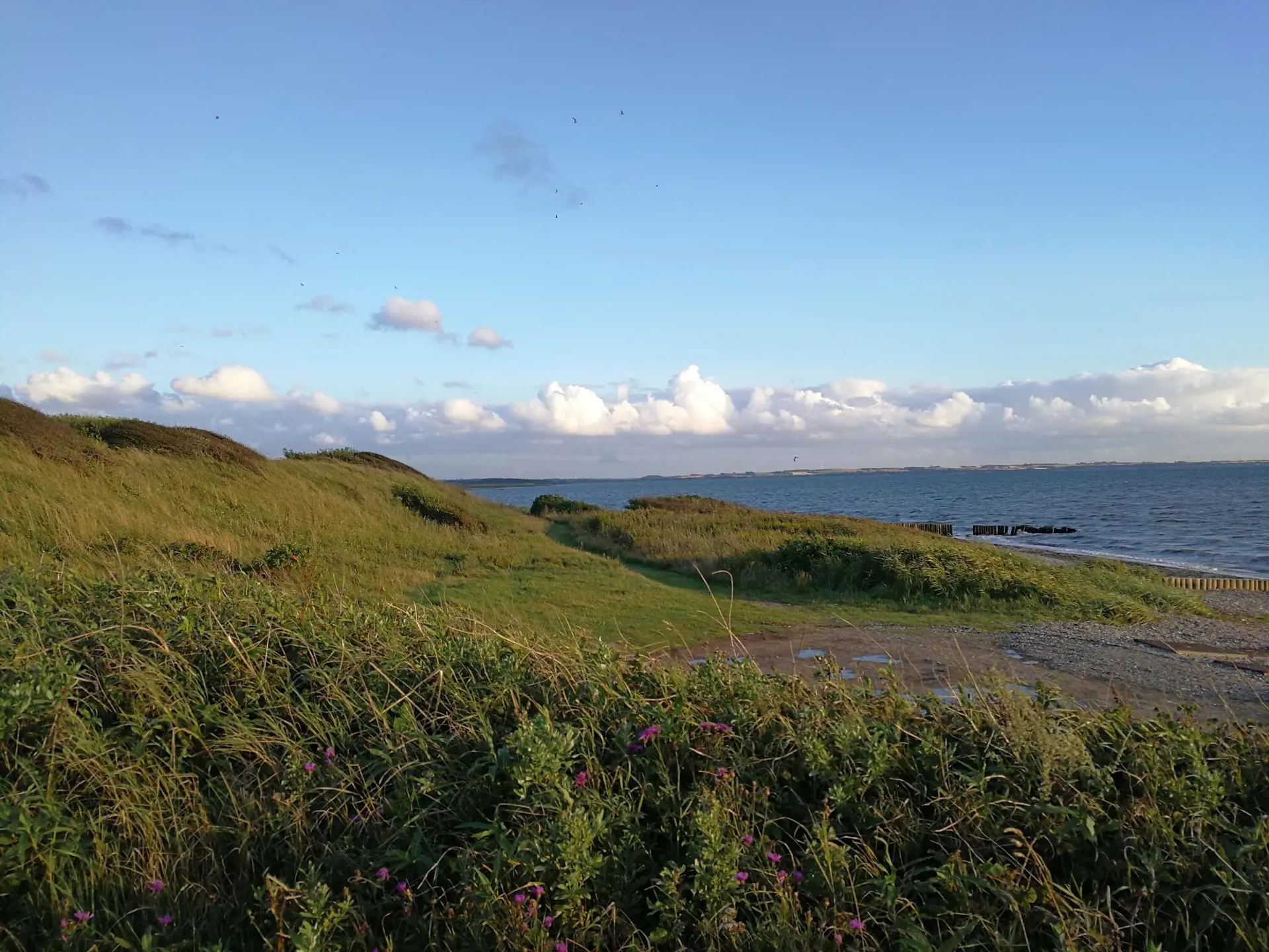 Bild 39 von 39