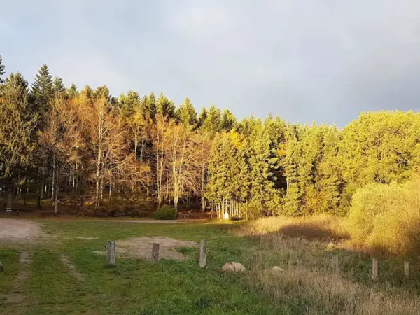 Bild 36 von 36