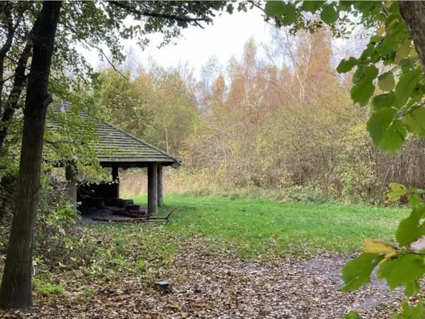Bild 27 von 31