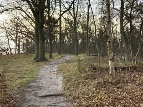Bild 28 von 31