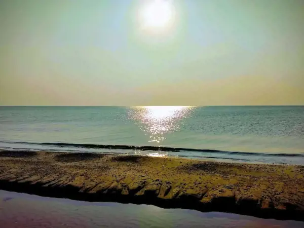 Bild 33 von 56