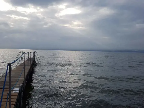 Bild 35 von 56