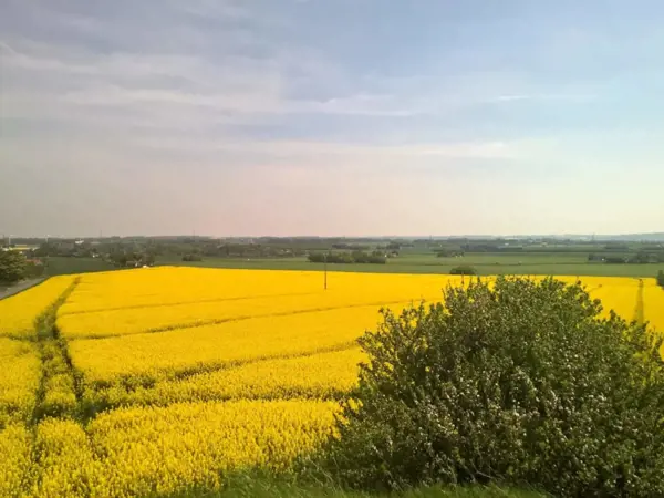 Bild 54 von 56