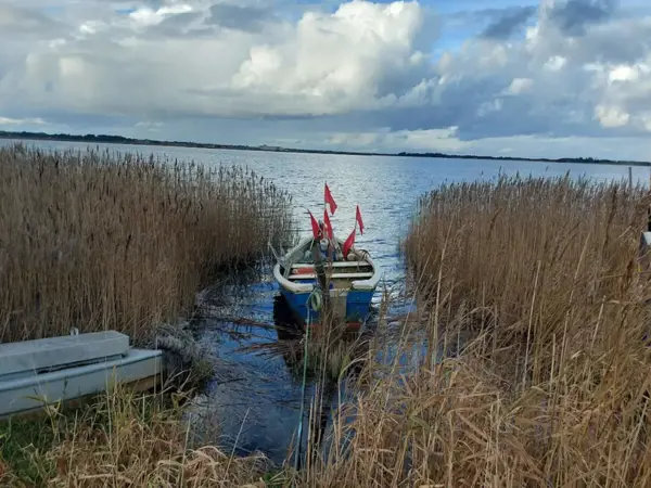 Bild 17 von 43