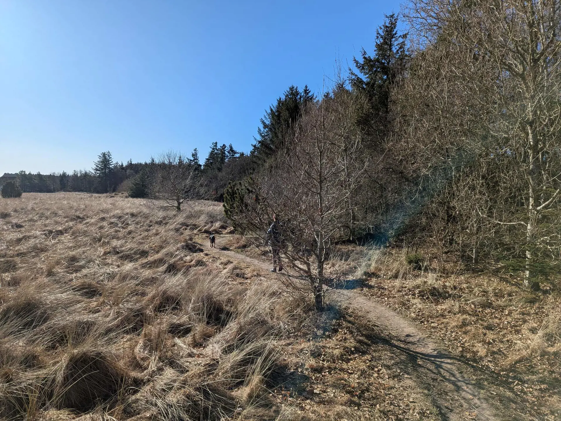 Bild 29 von 33